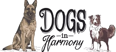 DOGS in Harmony